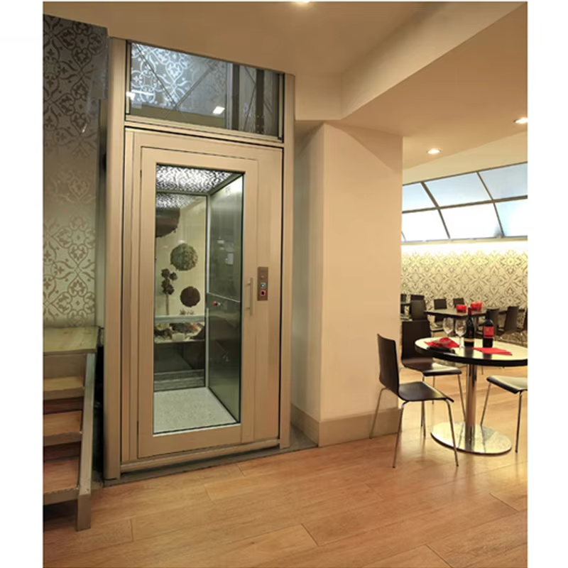 VTEV102 Ascensores Elevadores ลิฟต์วิลล่าประหยัดพลังงานสำหรับการตกแต่งที่อยู่อาศัย