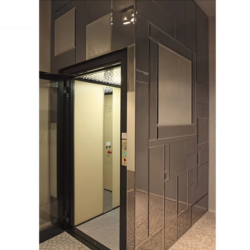 VTEV101 Ascensores Elevadores ลิฟต์วิลล่าดีไซน์สวยงามสำหรับสไตล์การตกแต่งที่ทันสมัย