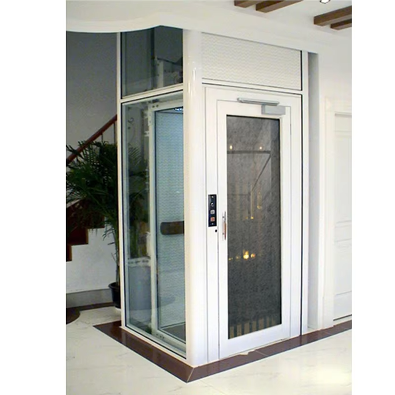 VTEV101 Ascensores Elevadores ลิฟต์วิลล่าดีไซน์สวยงามสำหรับสไตล์การตกแต่งที่ทันสมัย