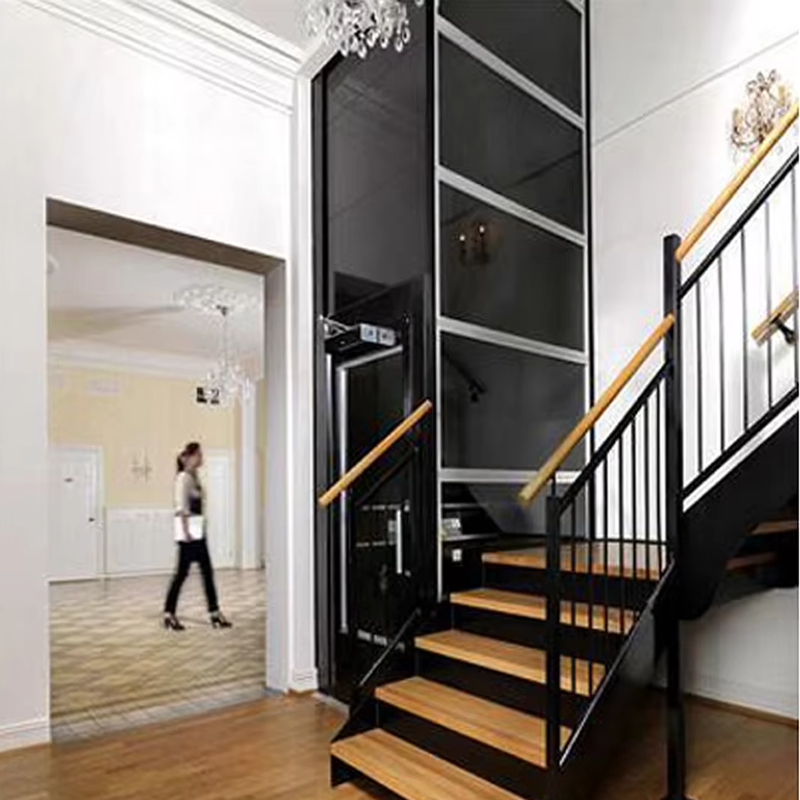 VTEV104 Ascensores Elevadores ลิฟต์วิลล่าสแตนเลสสุดหรูสำหรับครอบครัว