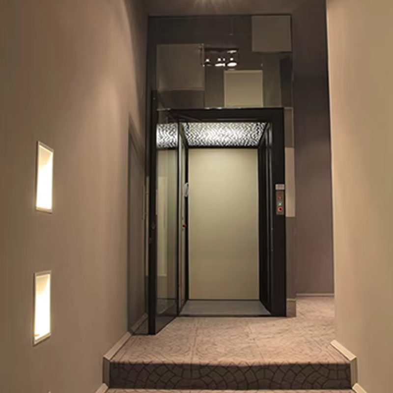 VTEV104 Ascensores Elevadores ลิฟต์วิลล่าสแตนเลสสุดหรูสำหรับครอบครัว