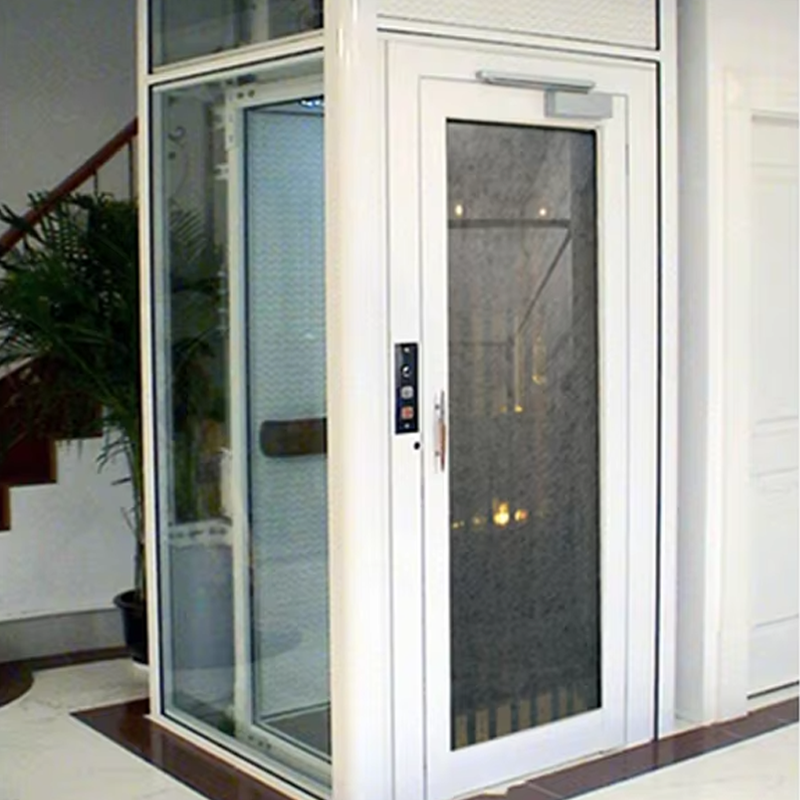 VTEV105 Ascensores Elevadores ลิฟต์วิลล่าในห้องโดยสารแบบกำหนดเองสำหรับการตกแต่งภายใน