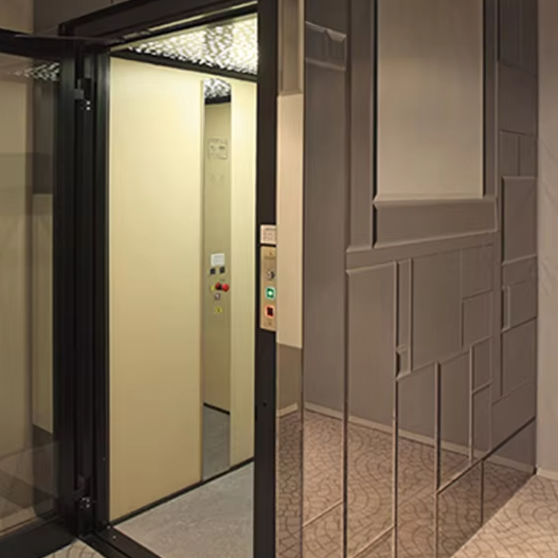 VTEV105 Ascensores Elevadores ลิฟต์วิลล่าในห้องโดยสารแบบกำหนดเองสำหรับการตกแต่งภายใน