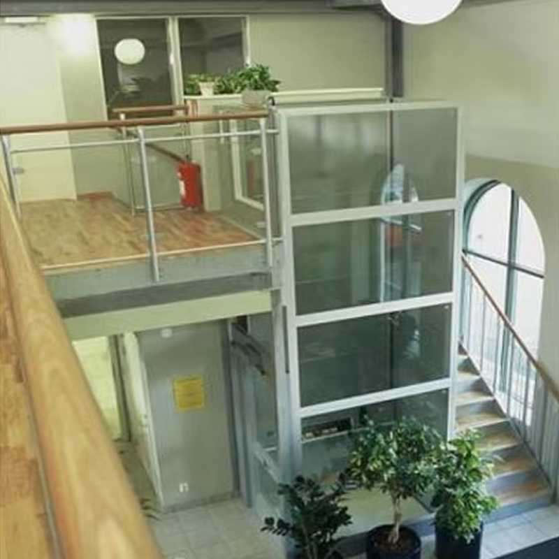 VTEV105 Ascensores Elevadores ลิฟต์วิลล่าในห้องโดยสารแบบกำหนดเองสำหรับการตกแต่งภายใน